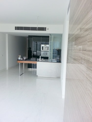 SilverSea (D15), Condominium #176242682